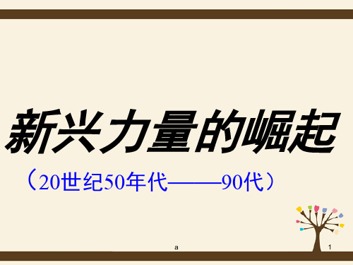 高中历史 专题九 当今世界政治格局的多极化趋势 新兴力量的崛起课件 人民版必修1