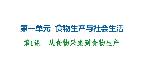 2020-2021学年人教统编版高中历史选择性必修二经济与社会生活第1单元从食物采集到食物生产精品课