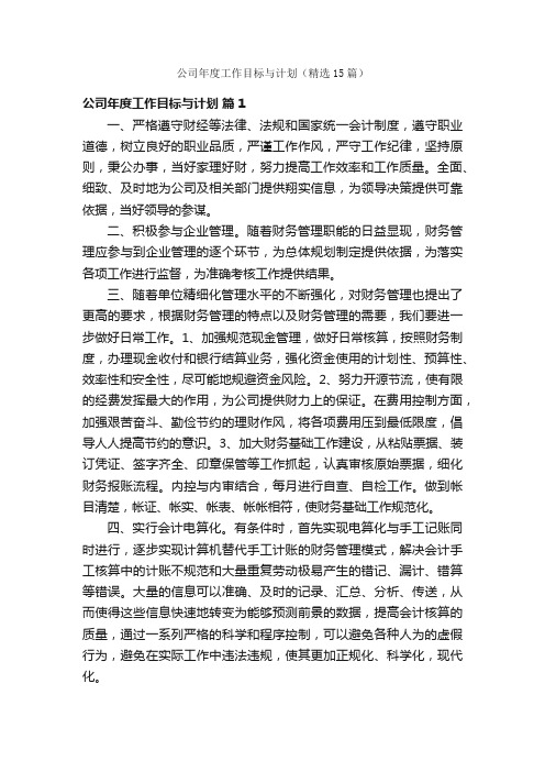 公司年度工作目标与计划（精选15篇）