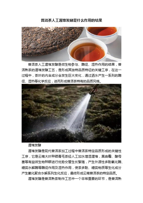 普洱茶人工渥堆发酵是什么作用的结果