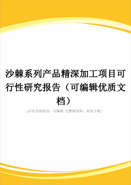 沙棘系列产品精深加工项目可行性研究报告(可编辑优质文档)