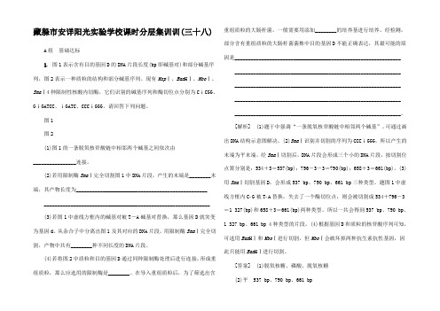 高考生物一轮复习 生物科技专题 课时分层集训 基因工程