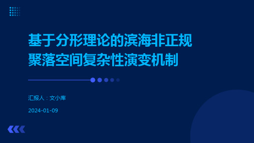 基于分形理论的滨海非正规聚落空间复杂性演变机制