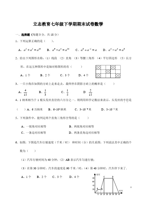 初一升初二数学试题