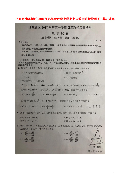 上海市浦东新区九年级数学上学期期末教学质量检测(一