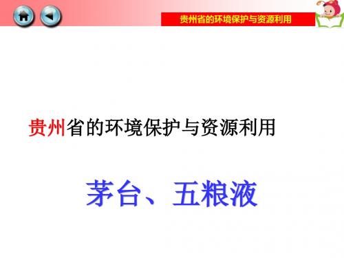 第八章第四节贵州省的环境保护与资源利用