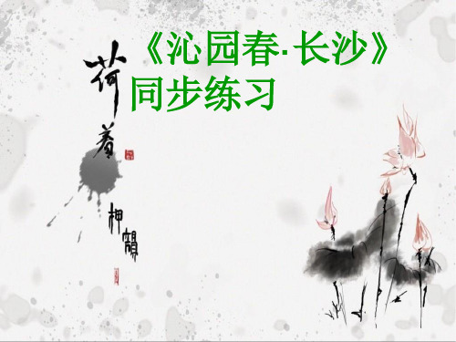 沁园春长沙跟踪练习