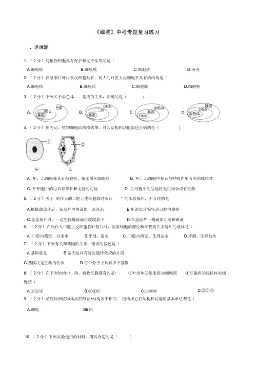 初中生物中考专题复习练习细胞