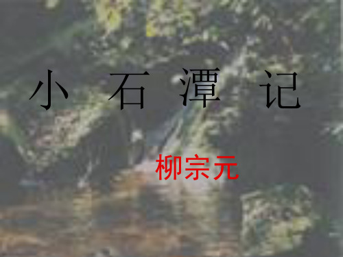 部编人教版八年级语文下册：10小石潭记(1)精品课件
