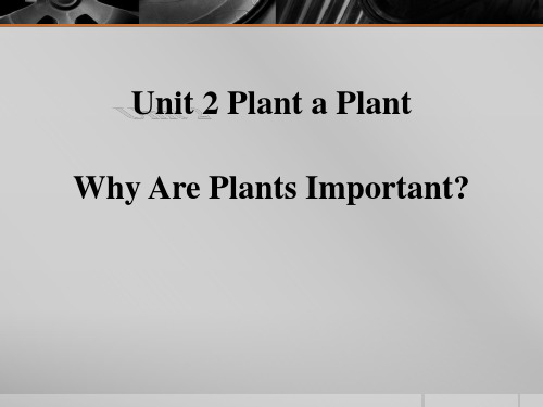 《Why Are Plants Important》Plant a Plant 教学ppt课件