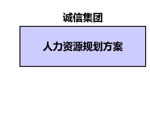 人力资源规划方案(案例完整版)