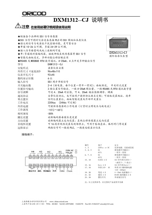 DXM1312CJ-SSI信号转换仪表闸门开度测控仪