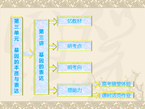 【三维设计】高中生物一轮复习 第三单元 第三讲  基因的表达课件 新人教版必修2