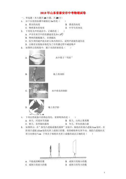 山东省泰安市2019年中考物理真题试题Word版含解析