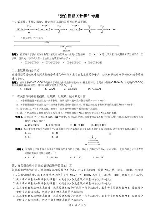 蛋白质相关计算专题