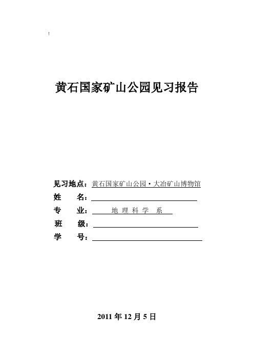 黄石国家矿山公园实习报告