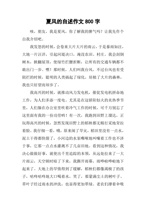夏风的自述作文800字