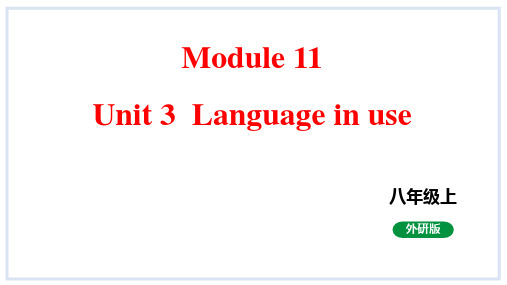 Module 11课件 外研版英语八年级上册