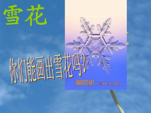 小学音乐课雪花ppt