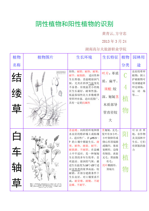 阴性植物和阳性植物的识别