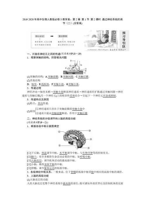 2019-2020年高中生物人教版必修3教学案：第2章 第1节 第2课时 通过神经系统的调节(二)(含答案)