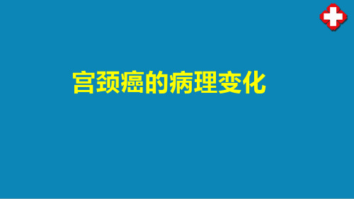 生殖系统和乳腺疾病(病理学课件)