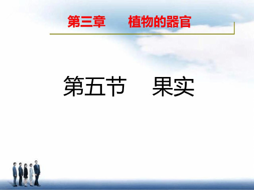 第三章植物的器官果实-2022年学习资料