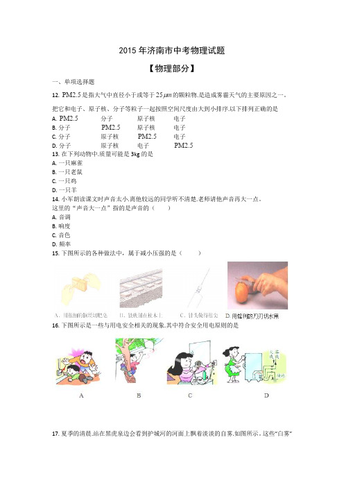山东省济南市2015年中考物理试题(word版,含答案)