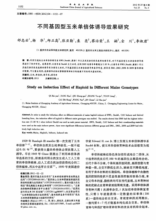 不同基因型玉米单倍体诱导效果研究