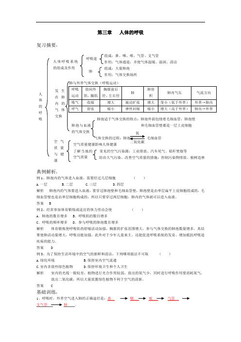 最新初中生物-七年级生物人体的呼吸练习题 精品