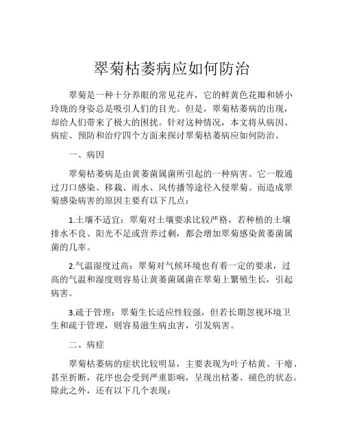 翠菊枯萎病应如何防治