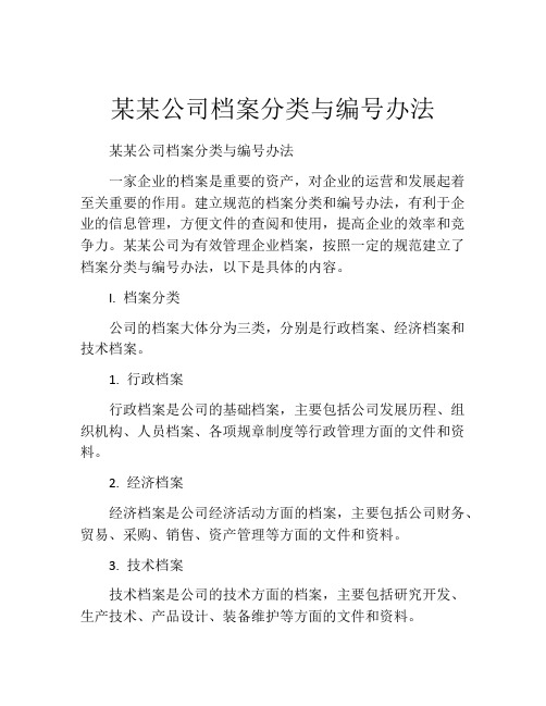 某某公司档案分类与编号办法