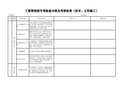 项目专项检查内容及考核标准模板