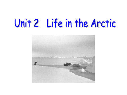 剑桥(join in)版英语五年级下册 Unit 2 Life in the Arctic(4)