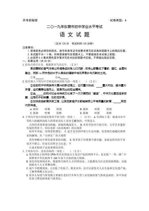 2019年山东省东营市中考语文试题(word版,含参考解析)(1)