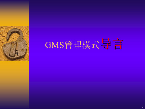 GMS管理模式ppt课件