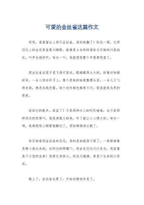 可爱的金丝雀这篇作文