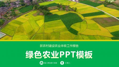 农业公司市场部工作总结PPT