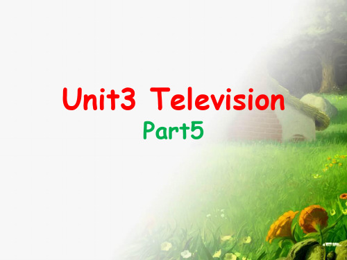 剑桥(join in)版英语五年级下册Unit 3 Television(5)