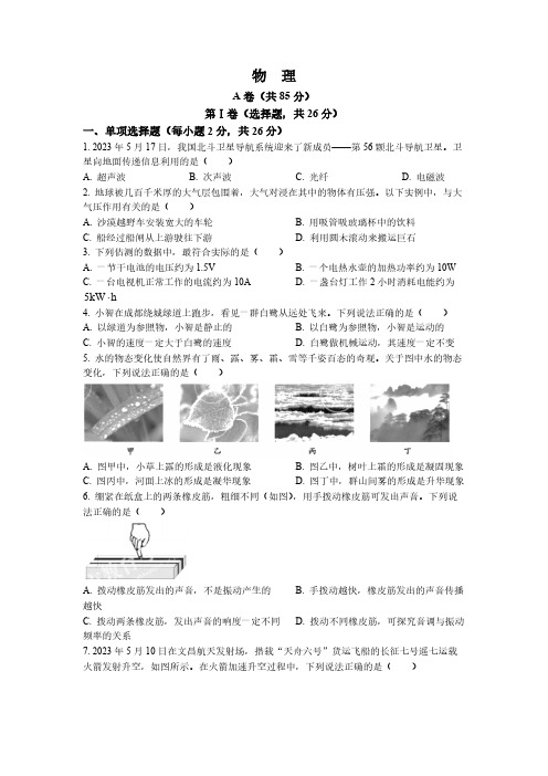 2023年四川省成都市中考物理真题(含答案)