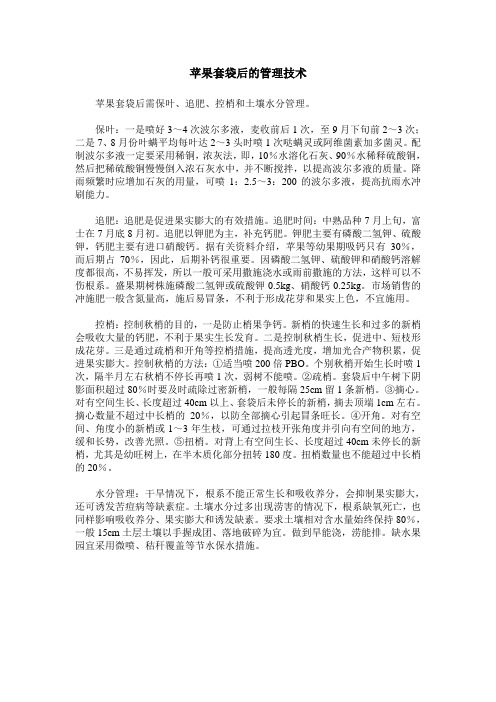 苹果套袋后的管理技术