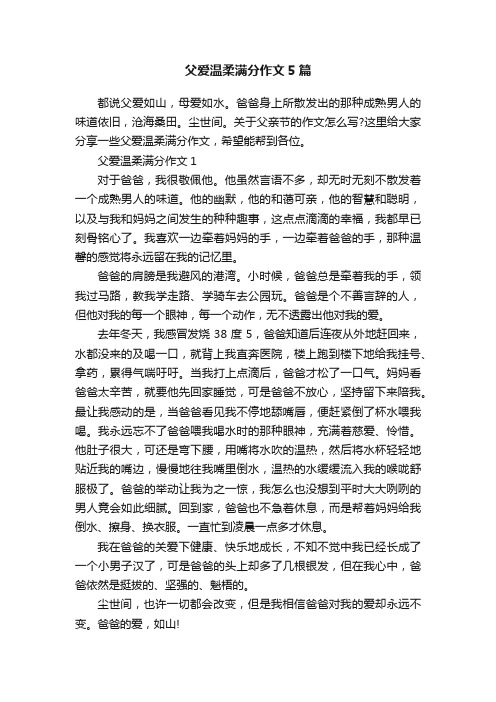 父爱温柔满分作文5篇