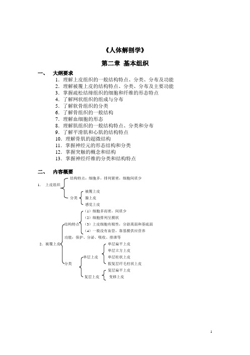 人体解剖学课后习题——基本组织(含答案)