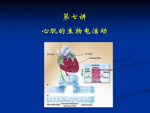 第七讲 心脏的生物电活动