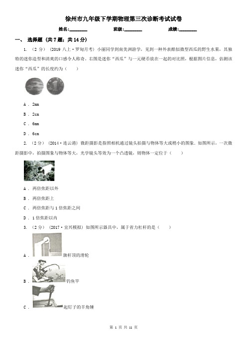 徐州市九年级下学期物理第三次诊断考试试卷