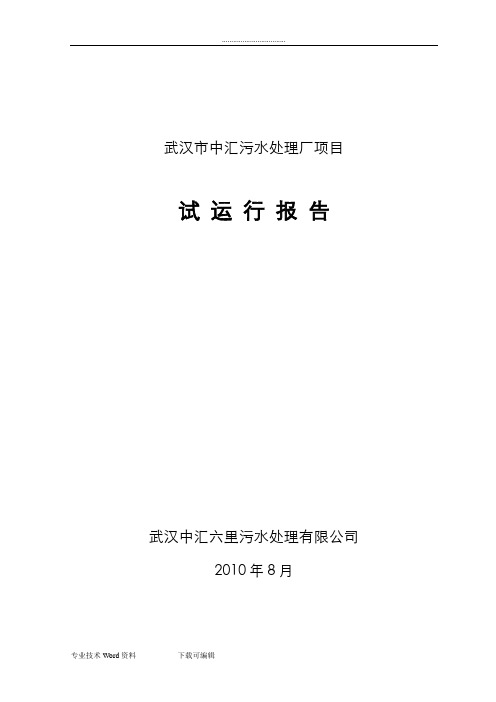 污水处理厂试运行报告