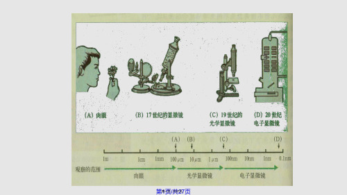 苏教七年级生物显微镜的使用实用教案