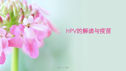 HPV的解读与疫苗PPT课件