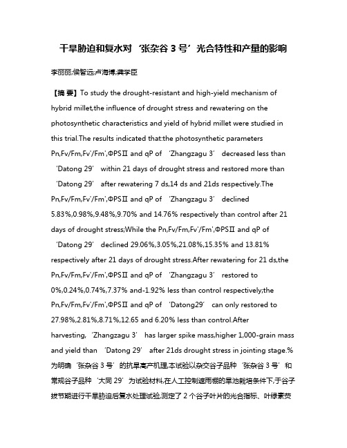 干旱胁迫和复水对‘张杂谷3号’光合特性和产量的影响