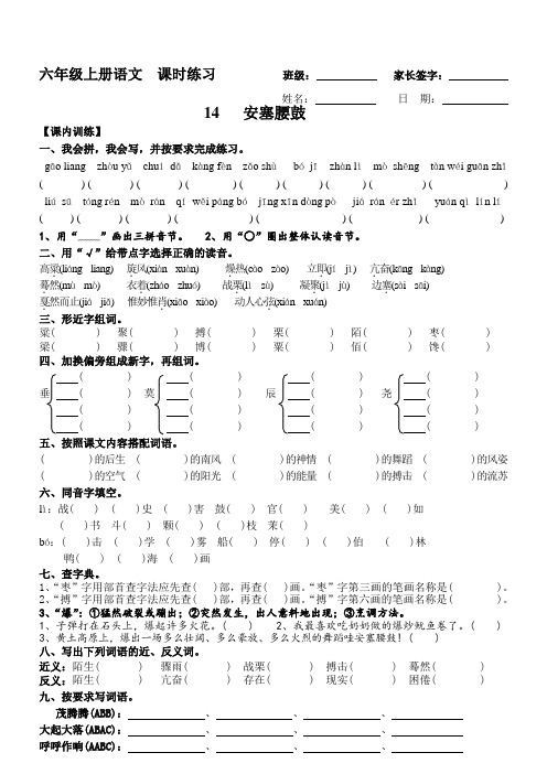 苏教版六年级语文上册 第14课 安塞腰鼓 课时练习